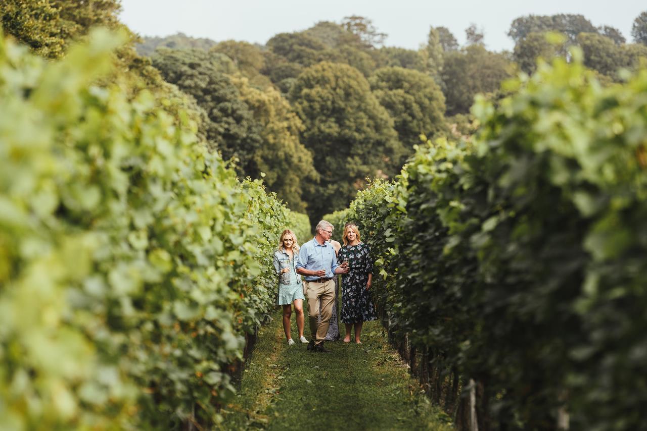 Simpson's Wine Estate: Tour & Tasting