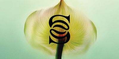 Preferential rates on Spa Treatments 