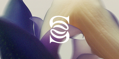 3 Peaks x Surrenne Diagnostic Methodology 