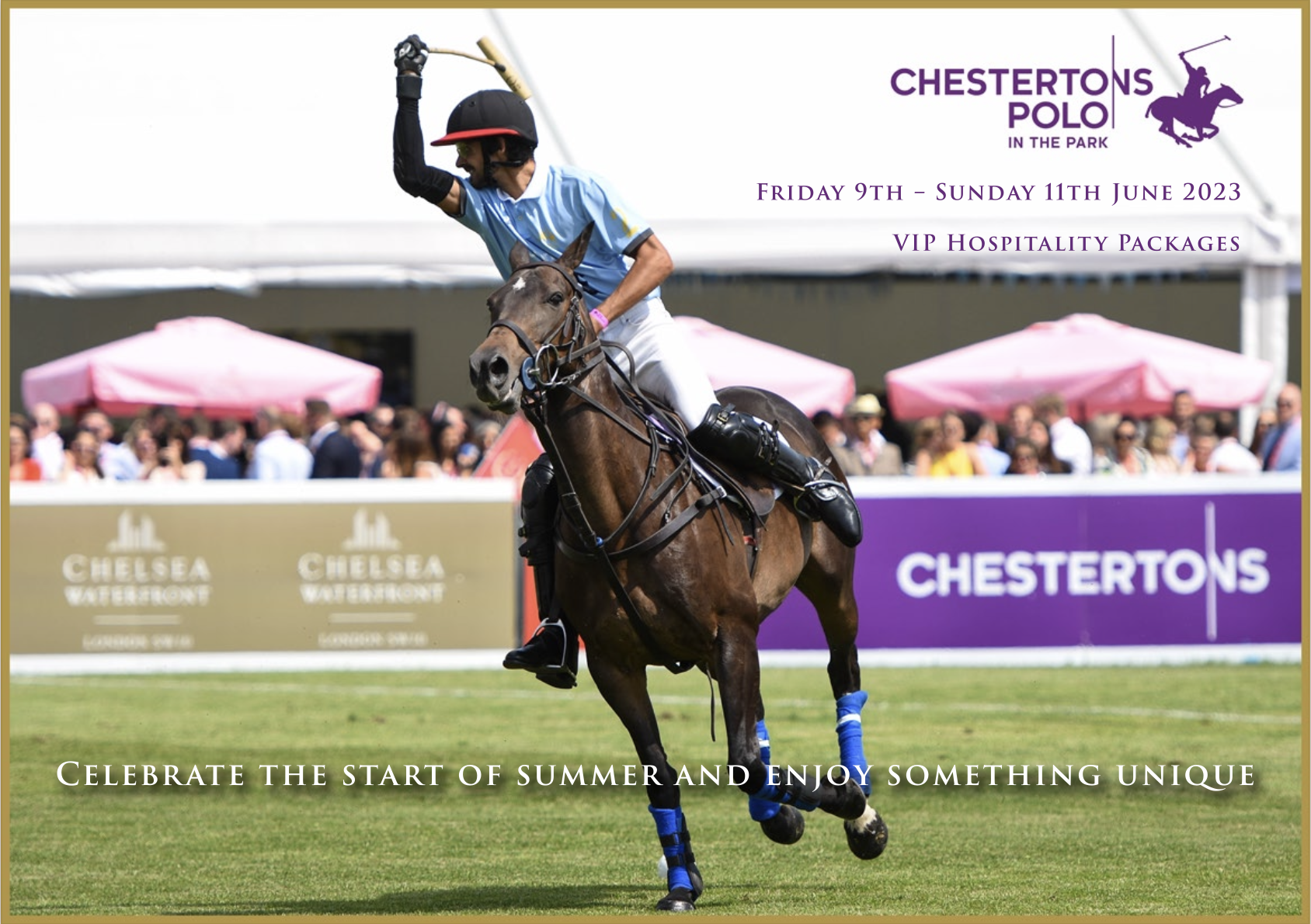Attend Polo in the Park