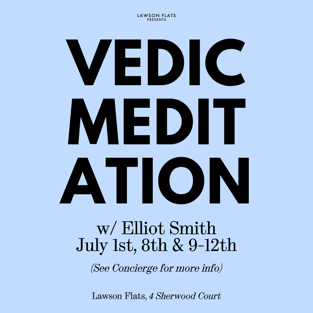 VEDIC MEDITATION: BALANCING THE BEING, WITH THE DOING