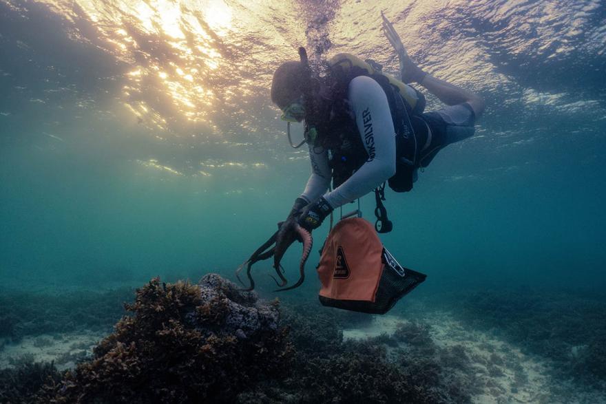 THE WA MUSEUM LECTURES #1