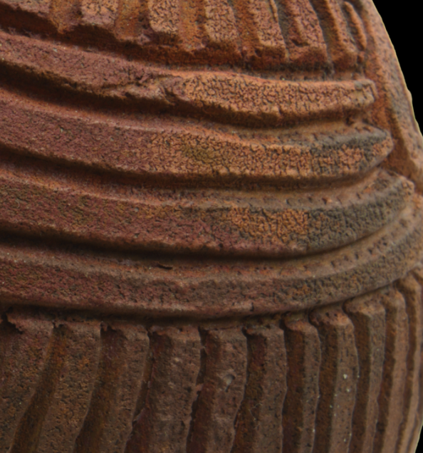 THE WA MUSEUM LECTURES 