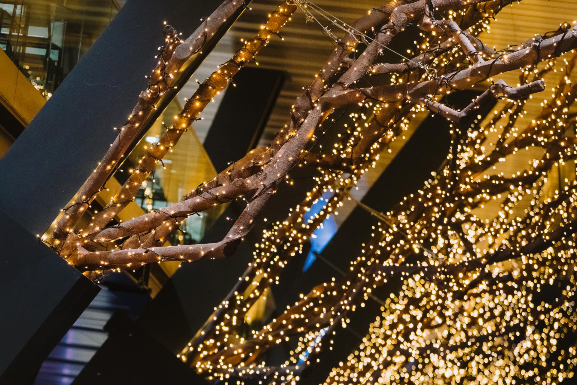 An image for the Christmas at the Pier link