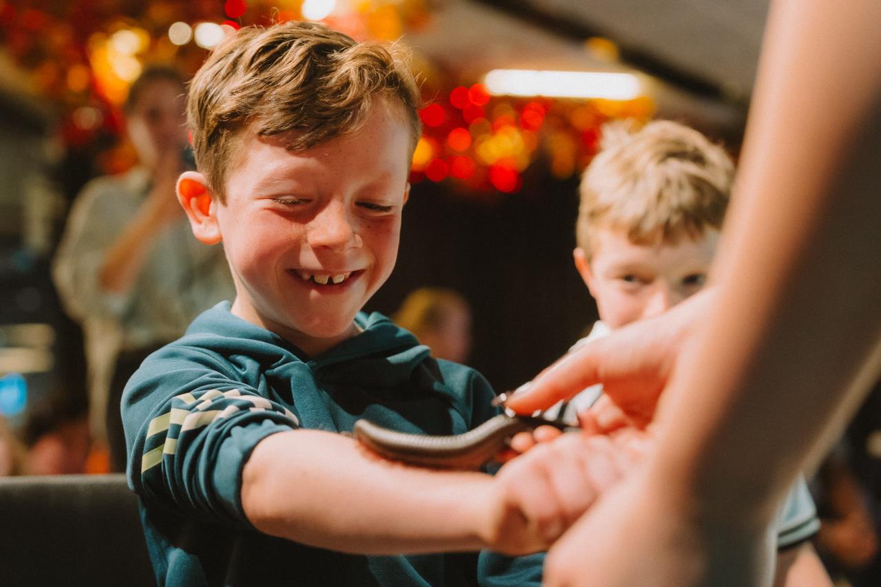 The cover image for the event: Creepy Crawly Encounters workshops with Zoolab at Fulham Pier!