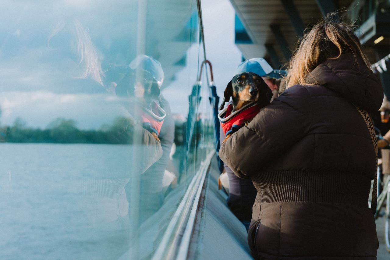 The cover image for the event: Kick off the festive season at Fulham Pier with a weekend full of music, food and roaming entertainment.
