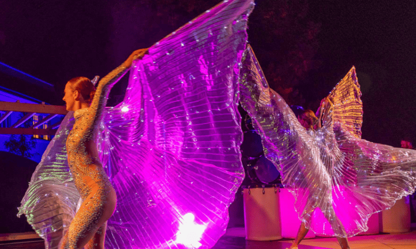 The cover image for the event: Experience the magic of the festive season after sunset with our spectacular After Dark LED Entertainment.