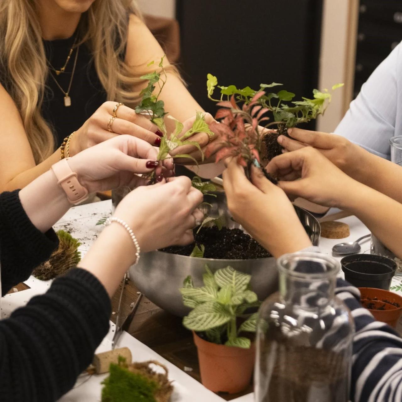 The cover image for the event: Begin the new year with a moment of calm at Fulham Pier as you reconnect with nature through a mindful, hands-on Terrarium-Making Workshop.