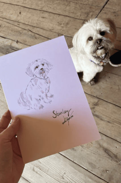 The cover image for the event: Treat your furry friend to a special Christmas keepsake with our live Dog Illustration Booth!