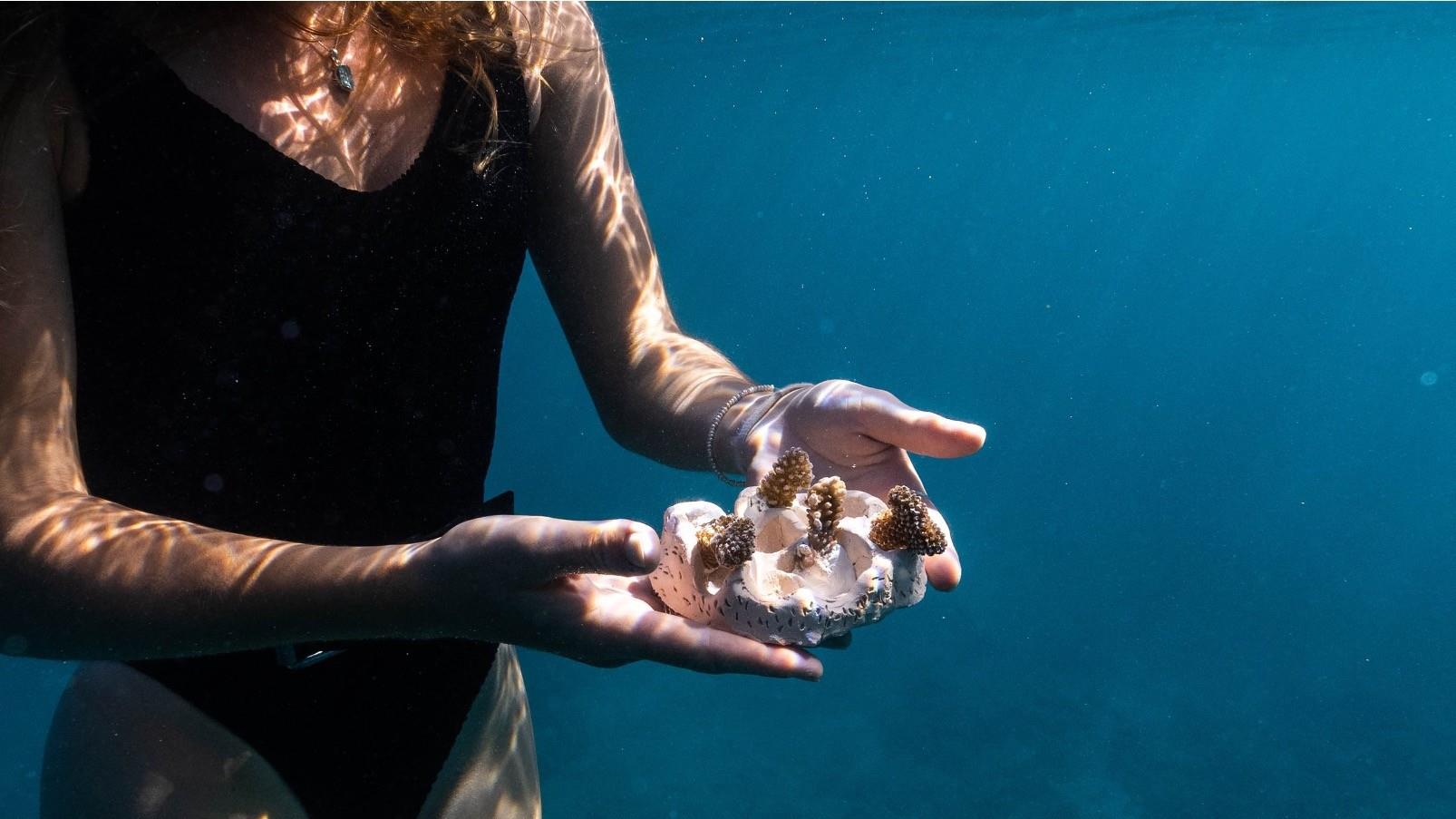 Event media for Clay CoralPod Making Workshop with Crafting Coral 