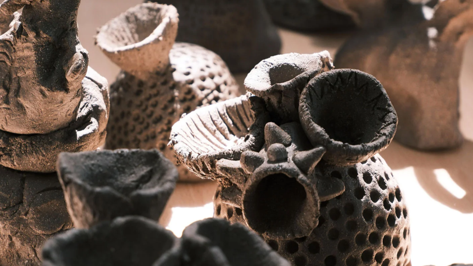 Event media for Clay CoralPod Making Workshop with Crafting Coral 