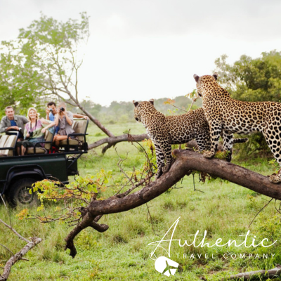 Authentic Travel Company