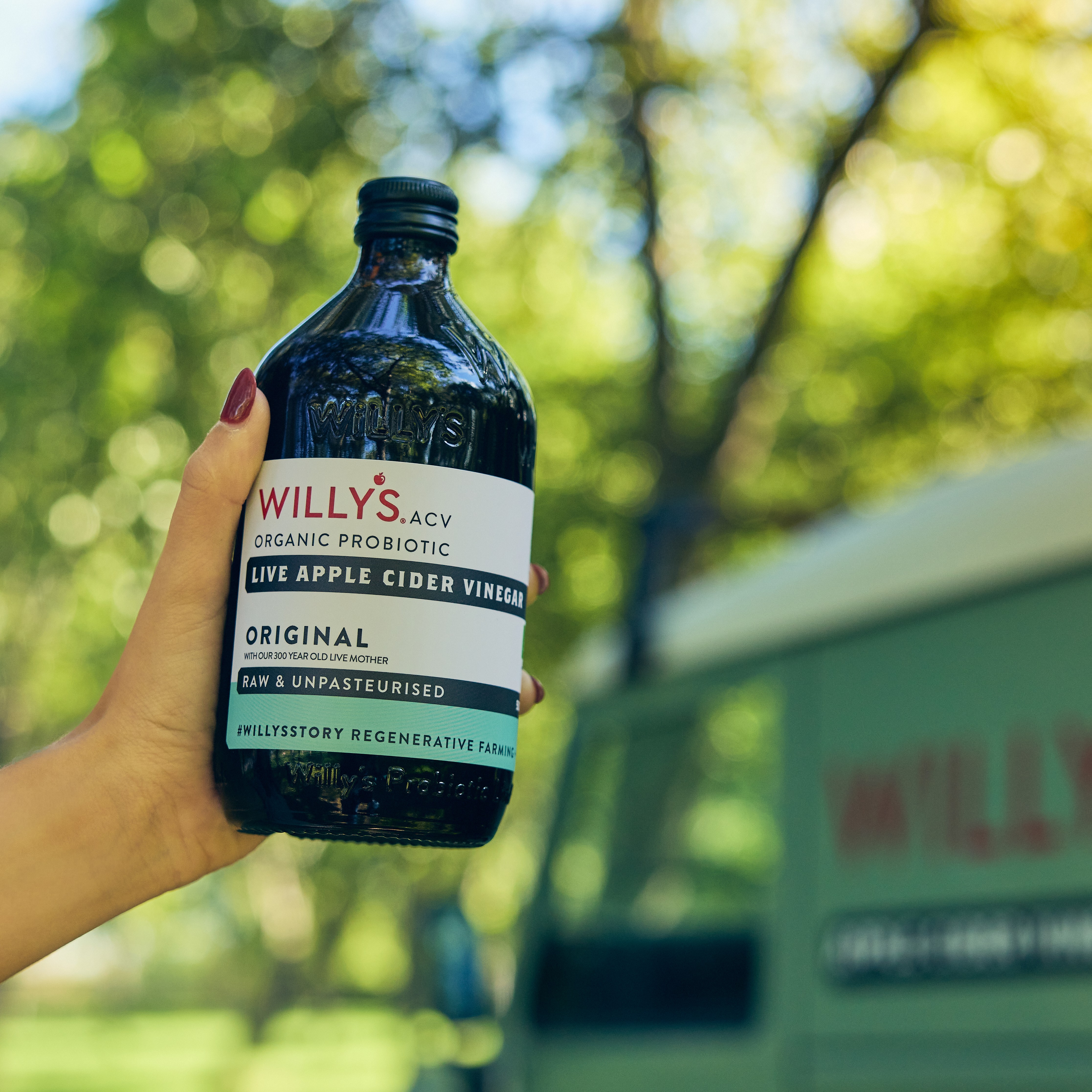 Willy's ACV